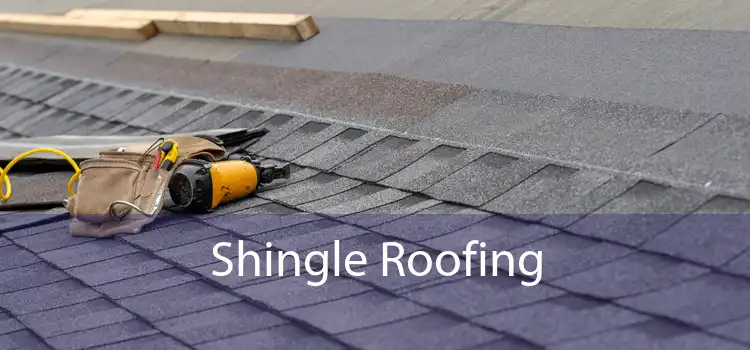 Shingle Roofing 