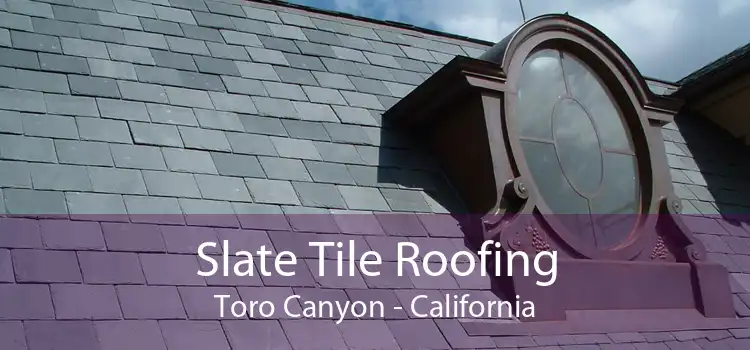 Slate Tile Roofing Toro Canyon - California