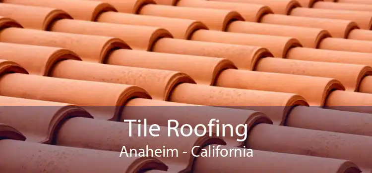 Tile Roofing Anaheim - California