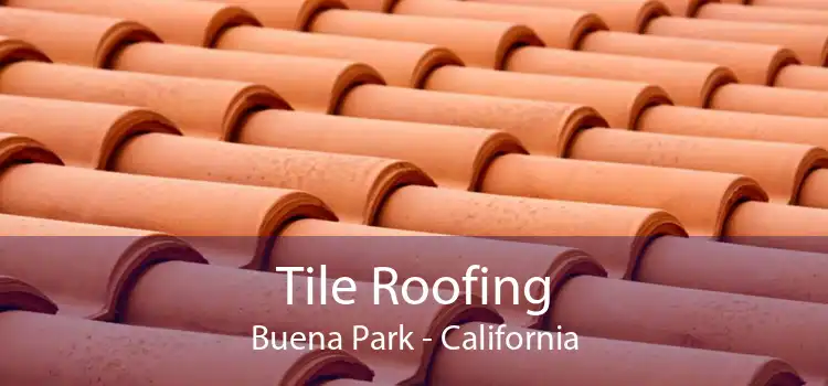 Tile Roofing Buena Park - California