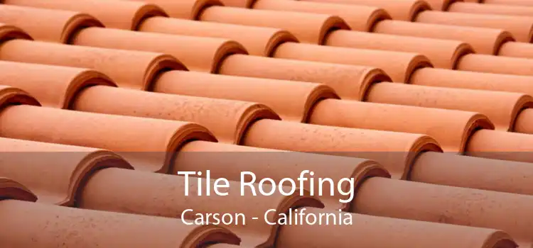 Tile Roofing Carson - California