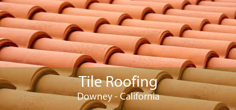 Tile Roofing Downey - California