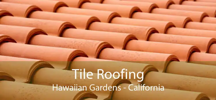 Tile Roofing Hawaiian Gardens - California
