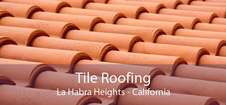 Tile Roofing La Habra Heights - California