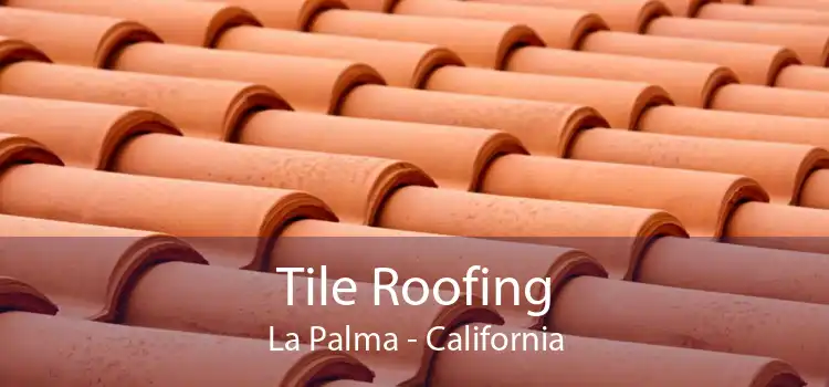 Tile Roofing La Palma - California