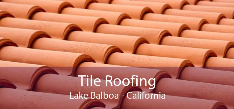 Tile Roofing Lake Balboa - California