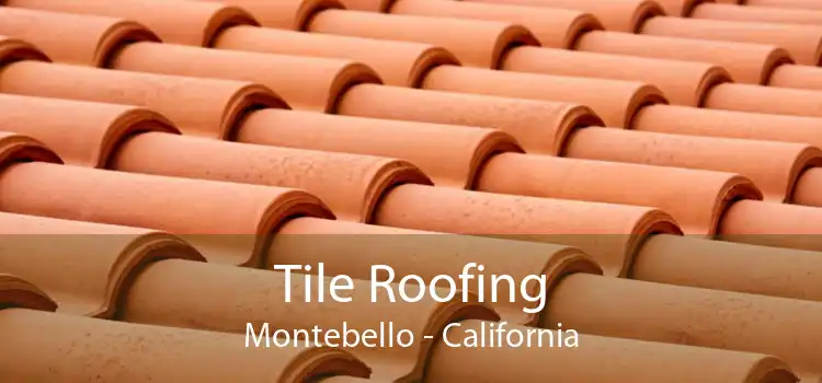 Tile Roofing Montebello - California