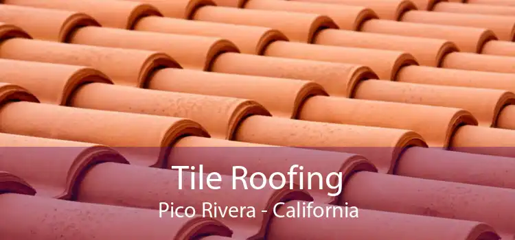 Tile Roofing Pico Rivera - California