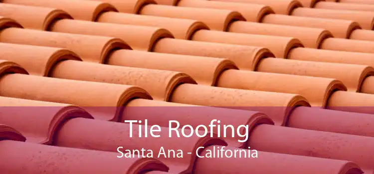 Tile Roofing Santa Ana - California