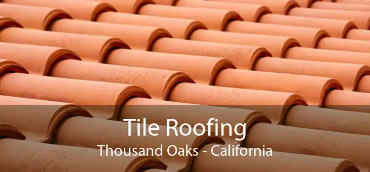 Tile Roofing Thousand Oaks - California
