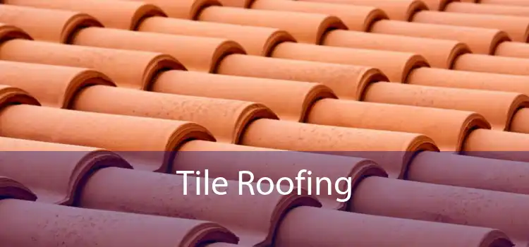 Tile Roofing 