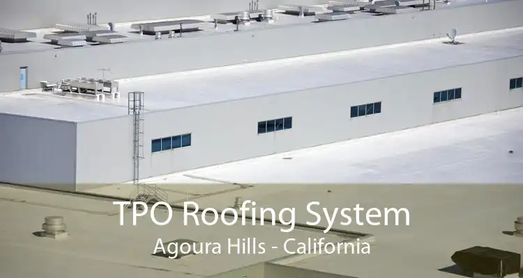 TPO Roofing System Agoura Hills - California