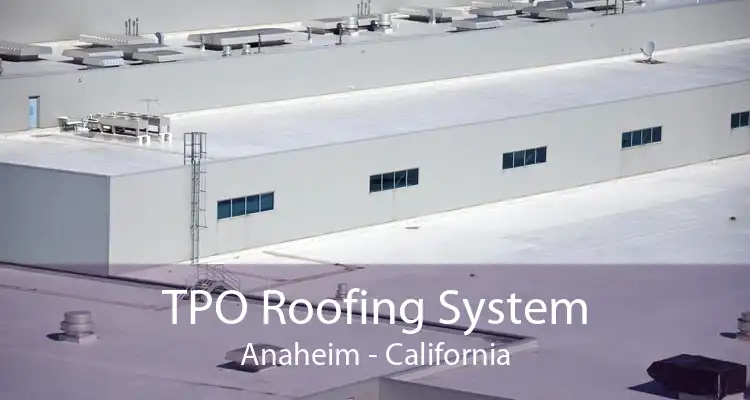 TPO Roofing System Anaheim - California