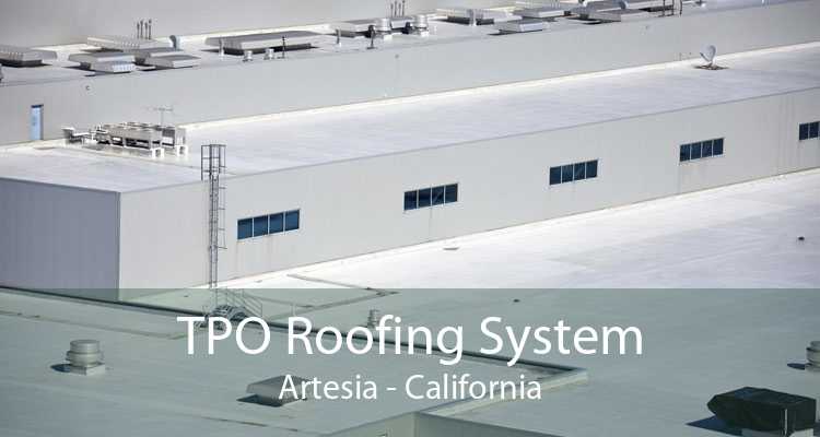 TPO Roofing System Artesia - California