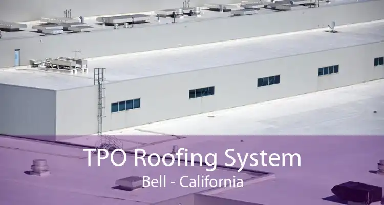 TPO Roofing System Bell - California