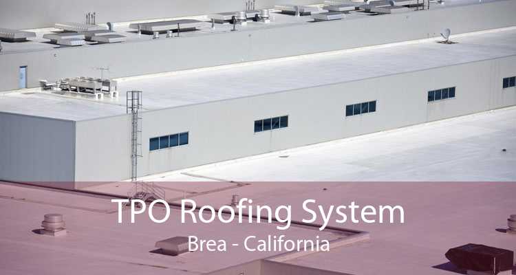 TPO Roofing System Brea - California