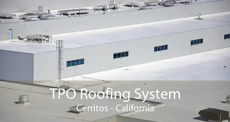 TPO Roofing System Cerritos - California