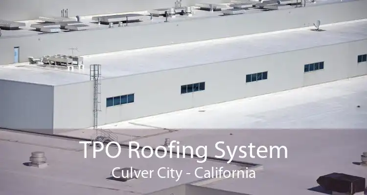 TPO Roofing System Culver City - California