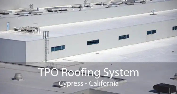 TPO Roofing System Cypress - California