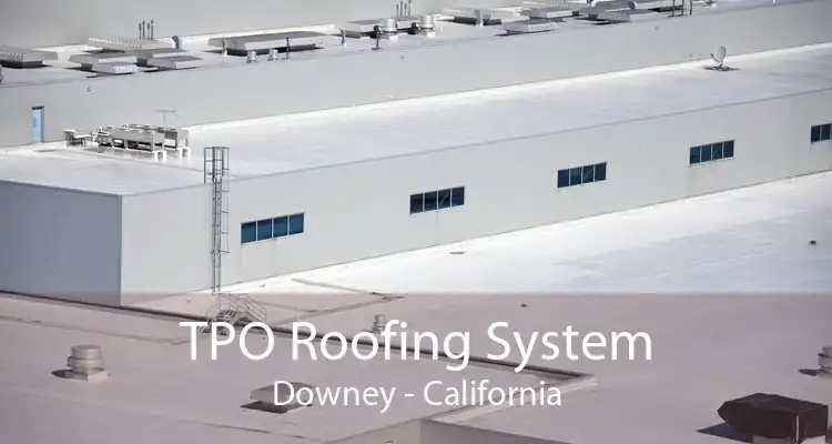 TPO Roofing System Downey - California