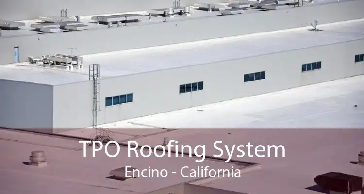TPO Roofing System Encino - California