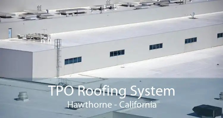 TPO Roofing System Hawthorne - California