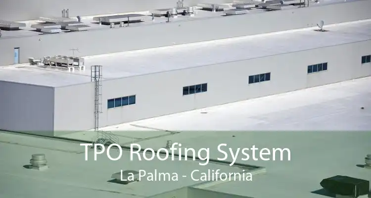 TPO Roofing System La Palma - California