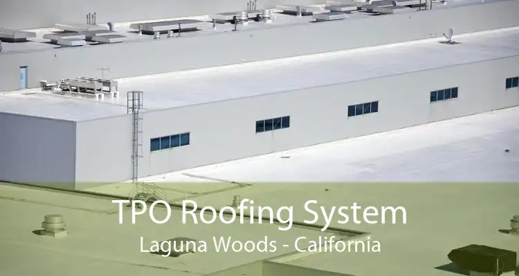 TPO Roofing System Laguna Woods - California