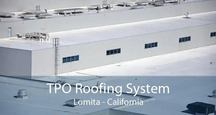 TPO Roofing System Lomita - California