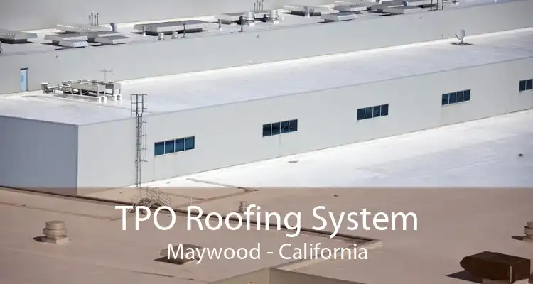 TPO Roofing System Maywood - California