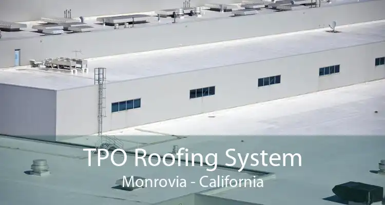 TPO Roofing System Monrovia - California