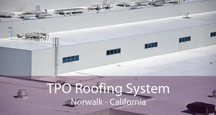 TPO Roofing System Norwalk - California