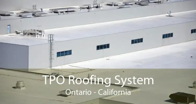 TPO Roofing System Ontario - California