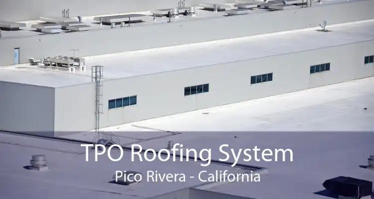 TPO Roofing System Pico Rivera - California