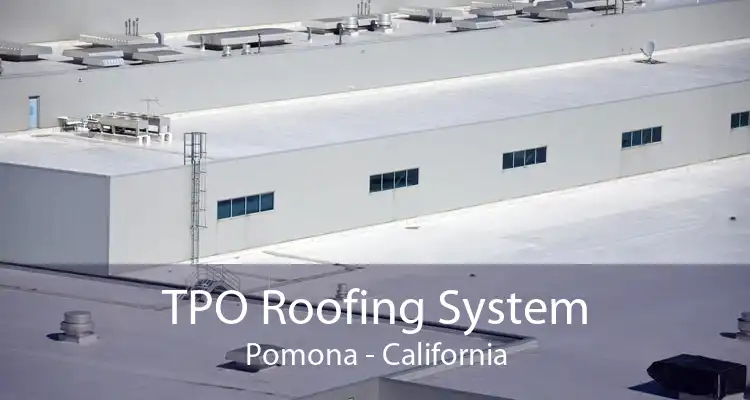 TPO Roofing System Pomona - California