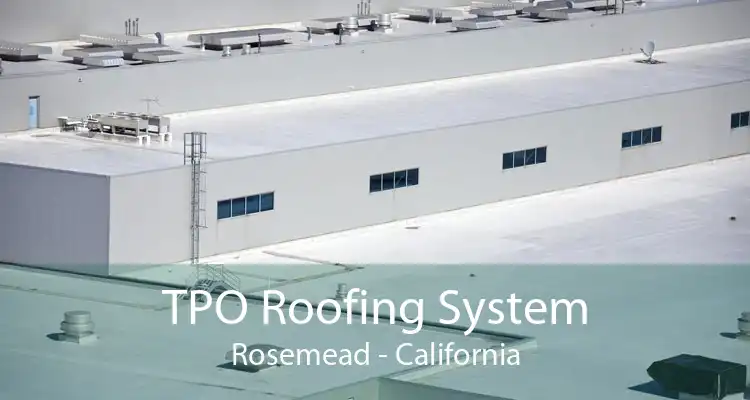 TPO Roofing System Rosemead - California