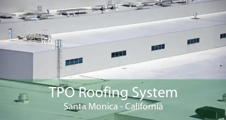 TPO Roofing System Santa Monica - California