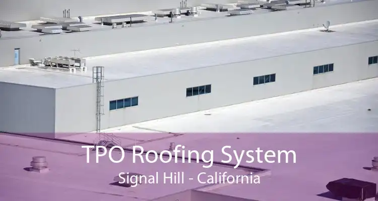 TPO Roofing System Signal Hill - California