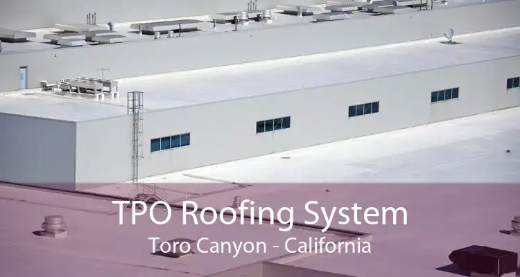 TPO Roofing System Toro Canyon - California