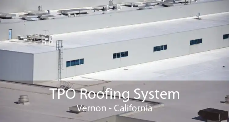 TPO Roofing System Vernon - California