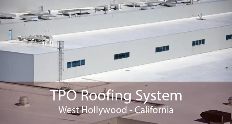 TPO Roofing System West Hollywood - California