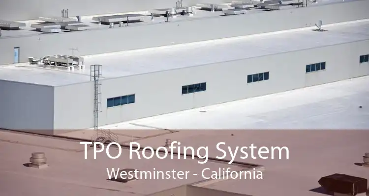 TPO Roofing System Westminster - California