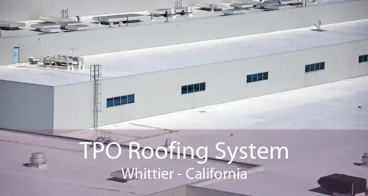 TPO Roofing System Whittier - California