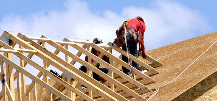 metal roof specialist
