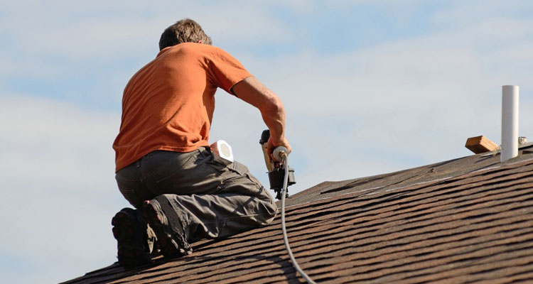 Laguna Hills residential green roof